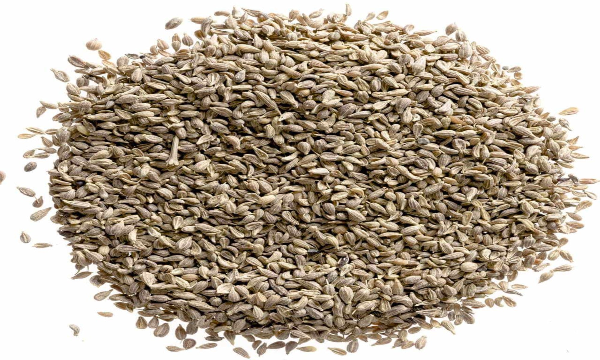 ANISE SEED