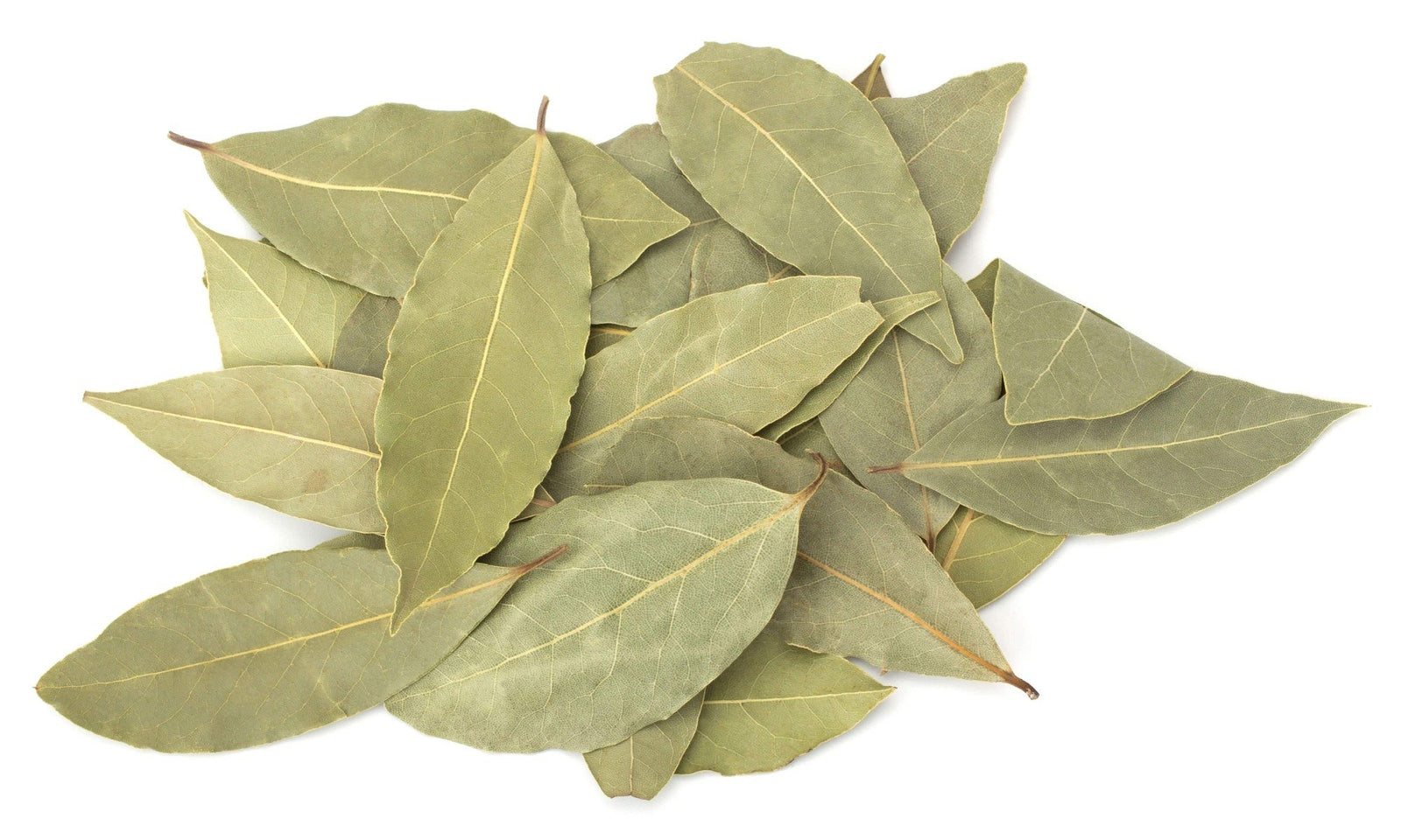 BAY LEAVES