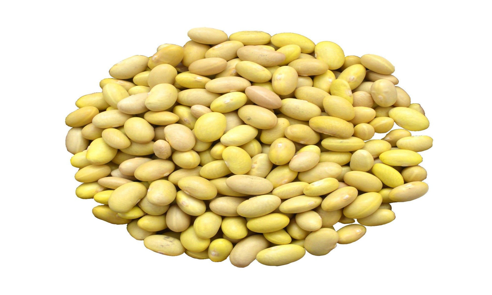 CANARY BEAN