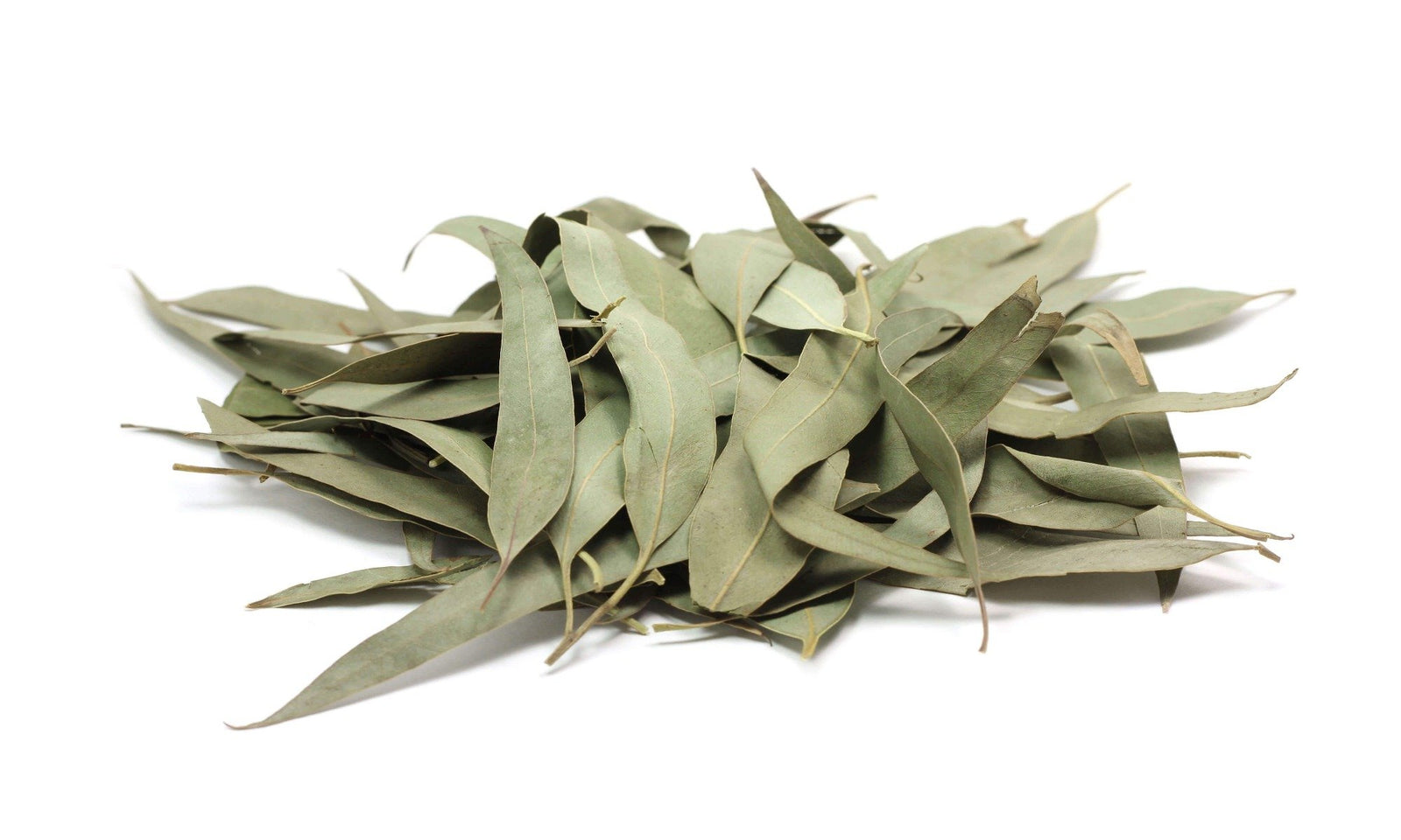 EUCALYPTUS LEAVES