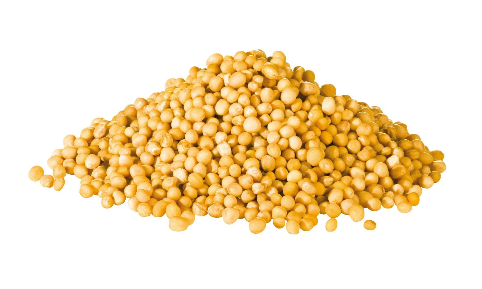 YELLOW MUSTARD SEED